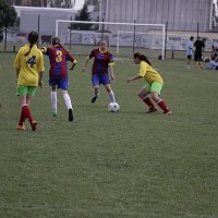 IMG 2106